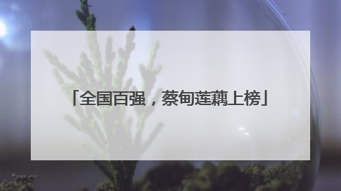 全国百强，蔡甸莲藕上榜