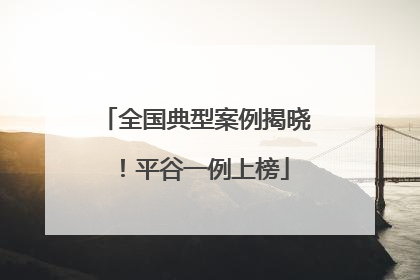 全国典型案例揭晓！平谷一例上榜
