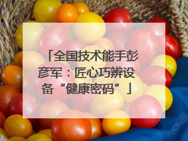 全国技术能手彭彦军：匠心巧辨设备“健康密码”
