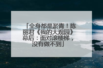 全身都是淤青！陈丽君《我的大观园》幕后：面对滚楼梯，没有做不到