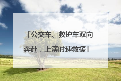公交车、救护车双向奔赴，上演时速救援