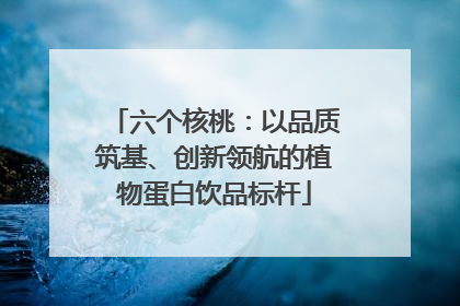 六个核桃：以品质筑基、创新领航的植物蛋白饮品标杆