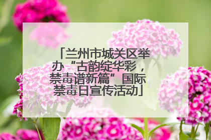 兰州市城关区举办“古韵绽华彩，禁毒谱新篇”国际禁毒日宣传活动
