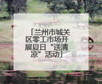 兰州市城关区零工市场开展夏日“送清凉”活动