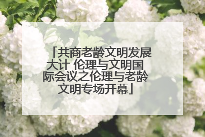 共商老龄文明发展大计 伦理与文明国际会议之伦理与老龄文明专场开幕