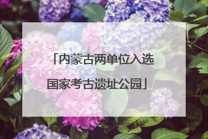 内蒙古两单位入选国家考古遗址公园