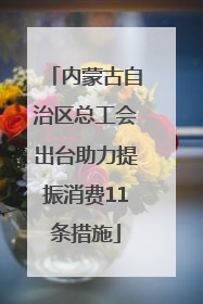内蒙古自治区总工会出台助力提振消费11条措施