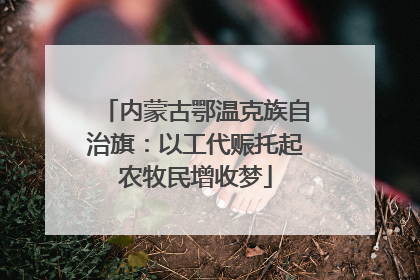 内蒙古鄂温克族自治旗：以工代赈托起农牧民增收梦