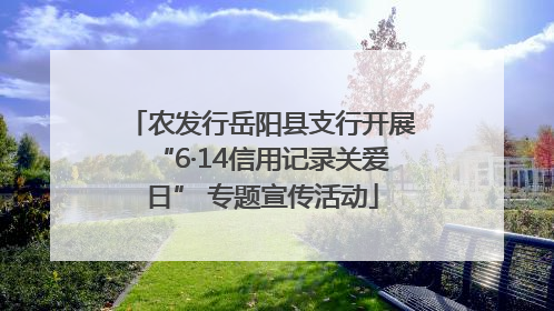 农发行岳阳县支行开展“6·14信用记录关爱日” 专题宣传活动