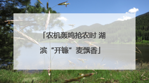 农机轰鸣抢农时 湖滨“开镰”麦飘香