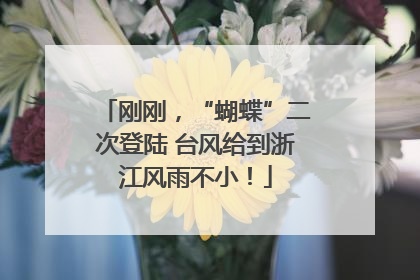 刚刚，“蝴蝶”二次登陆 台风给到浙江风雨不小！