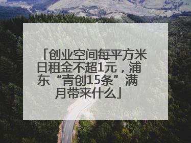 创业空间每平方米日租金不超1元，浦东“青创15条”满月带来什么