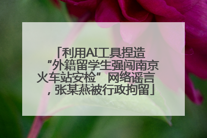 利用AI工具捏造 “外籍留学生强闯南京火车站安检”网络谣言，张某燕被行政拘留