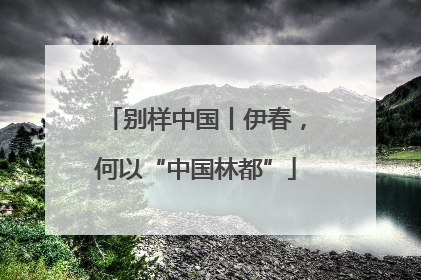 别样中国丨伊春，何以“中国林都”