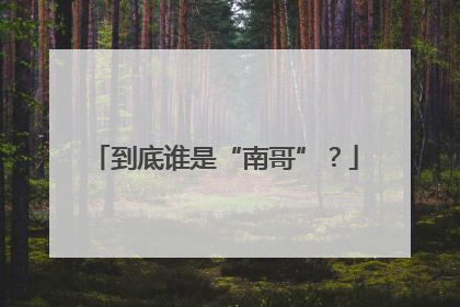 到底谁是“南哥”？