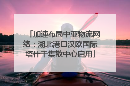 加速布局中亚物流网络：湖北港口汉欧国际塔什干集散中心启用