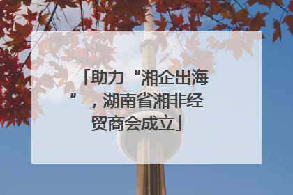 助力“湘企出海”，湖南省湘非经贸商会成立