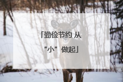勤俭节约 从“小”做起