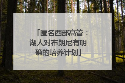 匿名西部高管：湖人对布朗尼有明确的培养计划