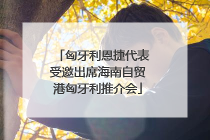 匈牙利恩捷代表受邀出席海南自贸港匈牙利推介会