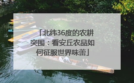 北纬36度的农耕突围：看安丘农品如何征服世界味蕾