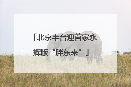 北京丰台迎首家永辉版“胖东来”