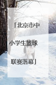 北京市中小学生篮球联赛落幕