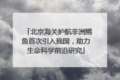 北京海关护航非洲鳉鱼首次引入我国，助力生命科学前沿研究