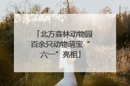 北方森林动物园百余只动物萌宝“六一”亮相