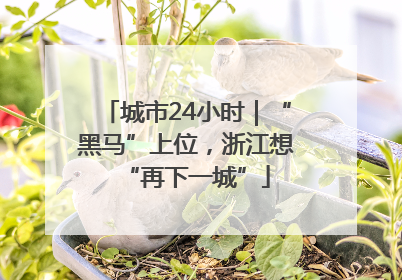 城市24小时|“黑马”上位,浙江想“再下一城”