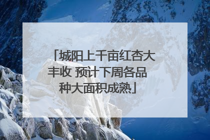 城阳上千亩红杏大丰收 预计下周各品种大面积成熟