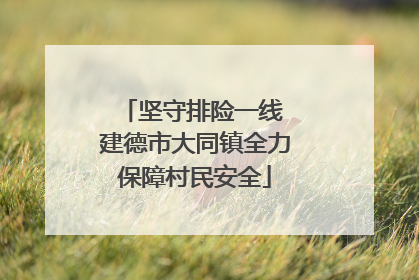 坚守排险一线 建德市大同镇全力保障村民安全