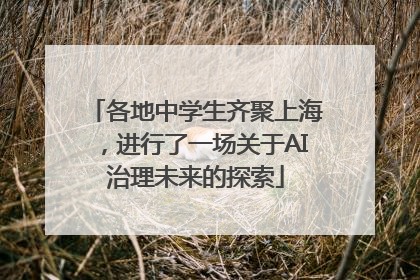 各地中学生齐聚上海，进行了一场关于AI治理未来的探索