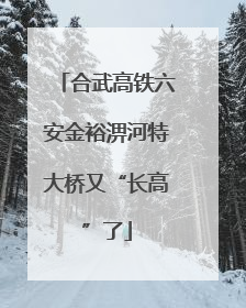 合武高铁六安金裕淠河特大桥又“长高”了