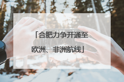 合肥力争开通至欧洲、非洲航线