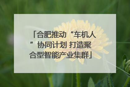 合肥推动“车机人”协同计划 打造聚合型智能产业集群