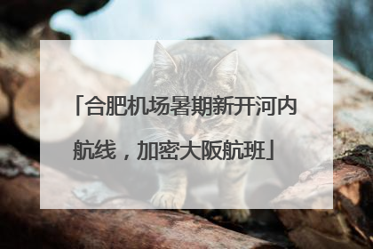 合肥机场暑期新开河内航线，加密大阪航班