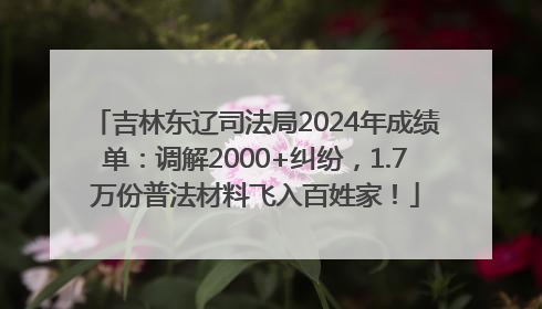 吉林东辽司法局2024年成绩单：调解2000+纠纷，1.7万份普法材料飞入百姓家！