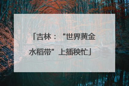 吉林：“世界黄金水稻带”上插秧忙