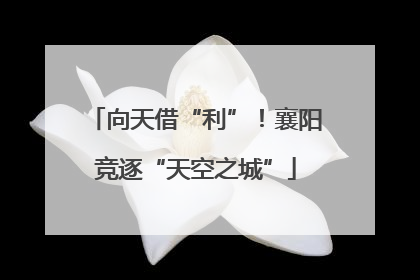 向天借“利”！襄阳竞逐“天空之城”