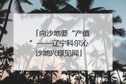 向沙地要“产值”——辽宁科尔沁沙地兴绿见闻