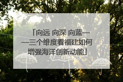 向远 向深 向蓝——三个维度看福建如何增强海洋创新动能