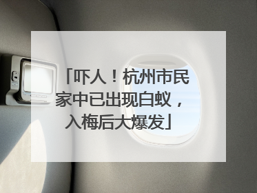 吓人！杭州市民家中已出现白蚁，入梅后大爆发