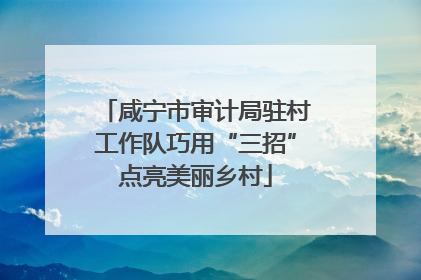咸宁市审计局驻村工作队巧用“三招”点亮美丽乡村