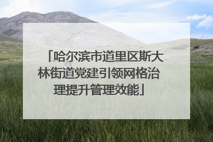 哈尔滨市道里区斯大林街道党建引领网格治理提升管理效能