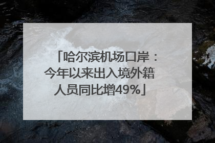 哈尔滨机场口岸：今年以来出入境外籍人员同比增49%