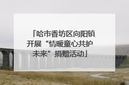 哈市香坊区向阳镇开展“情暖童心共护未来”捐赠活动