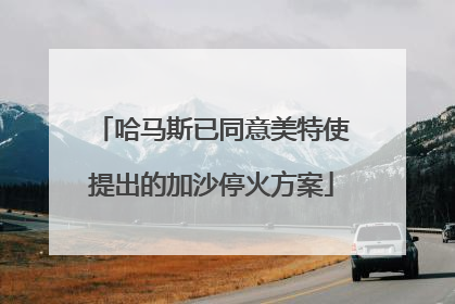 哈马斯已同意美特使提出的加沙停火方案