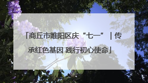 商丘市睢阳区庆“七一”｜传承红色基因 践行初心使命