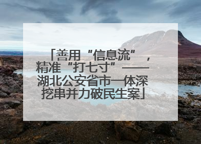 善用“信息流”，精准“打七寸”——湖北公安省市一体深挖串并力破民生案